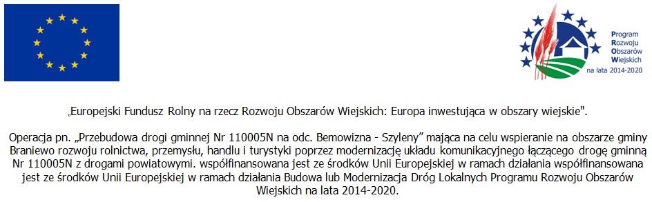 logo drogi2