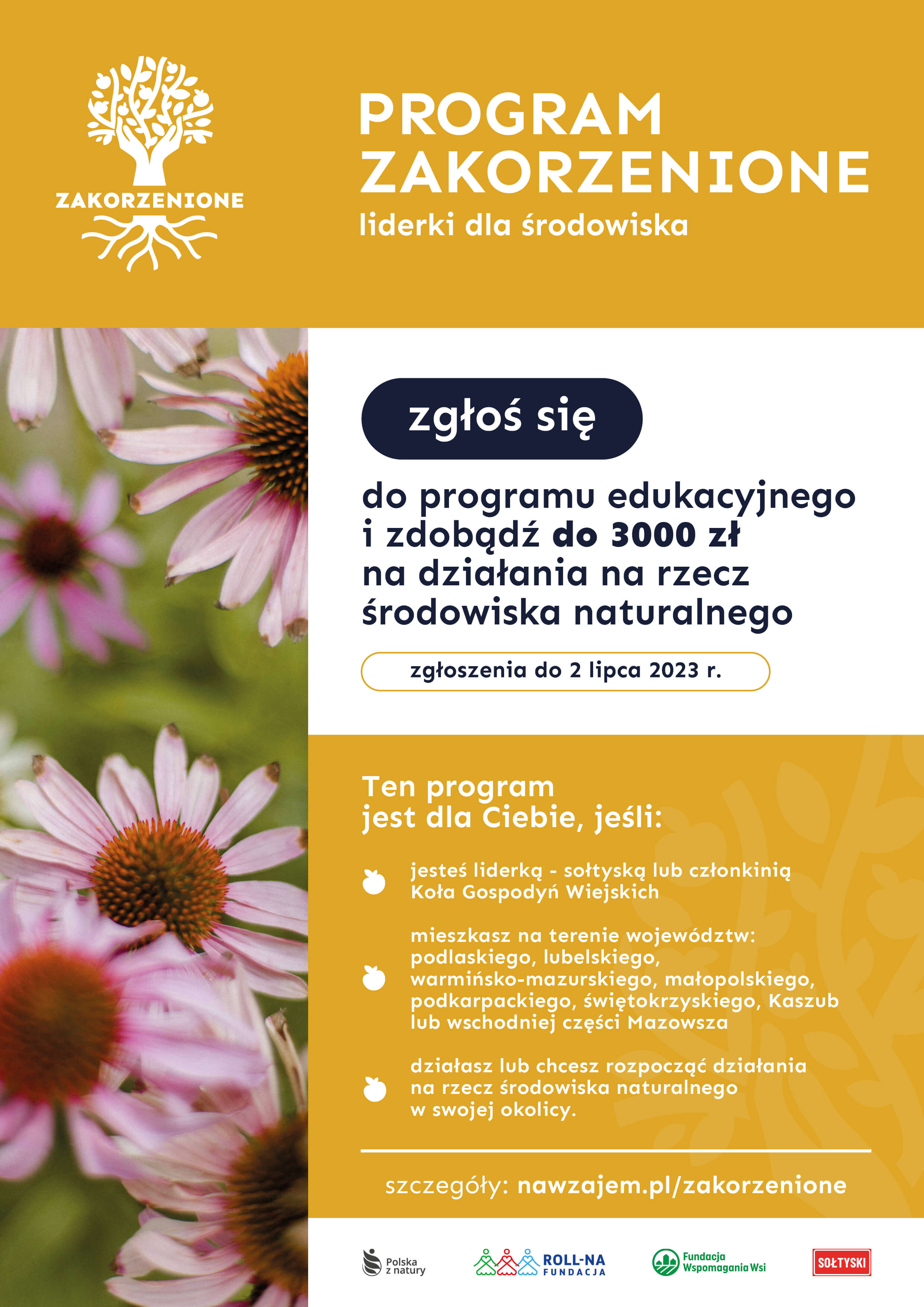 Program Zakorzenione